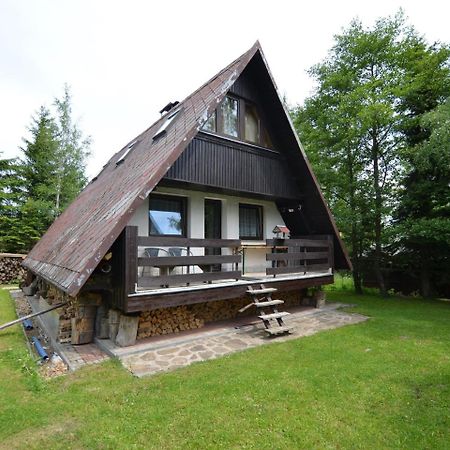 Nice Holiday Home In The Ore Mountains Only 500M From The Chairlift Loučná pod Klínovcem Zewnętrze zdjęcie