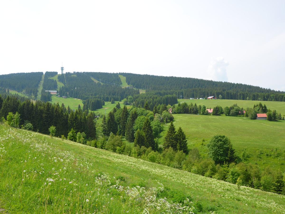 Nice Holiday Home In The Ore Mountains Only 500M From The Chairlift Loučná pod Klínovcem Zewnętrze zdjęcie